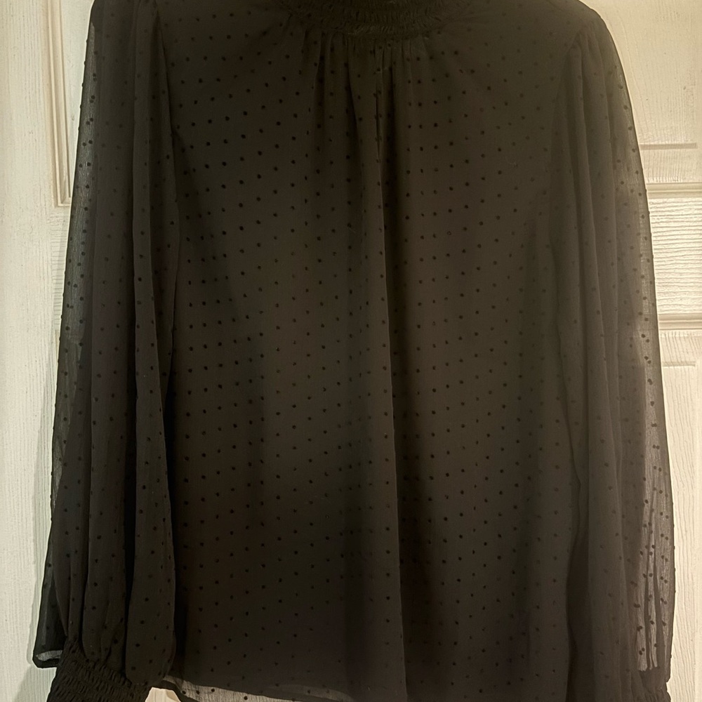 Sanctuary Black Sheer Blouse